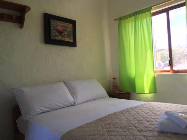 Royal Galapagos Inn Puerto Baquerizo Moreno Zewnętrze zdjęcie