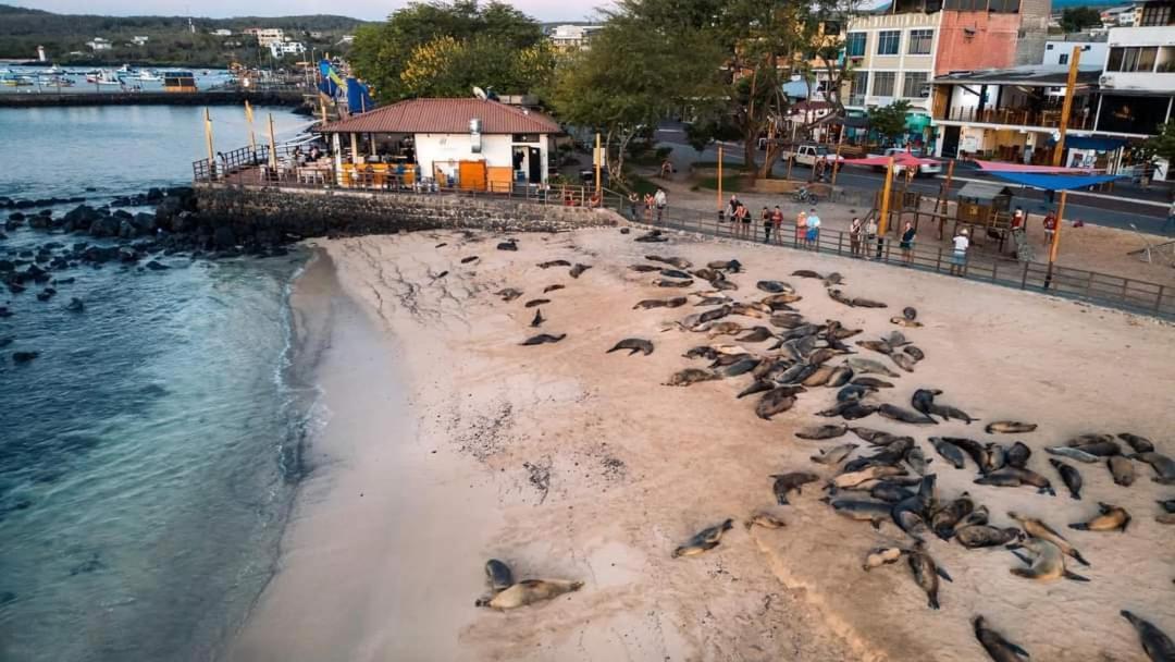 Royal Galapagos Inn Puerto Baquerizo Moreno Zewnętrze zdjęcie